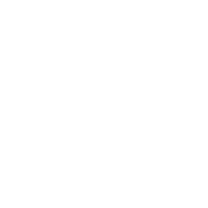 Rezdy Logo
